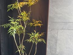 -浩运·海鲜青岛菜·海胆水饺(石老人店)