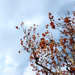 点击看大图 -思密达·烫染设计