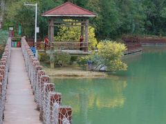 -广州白江湖森林公园