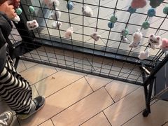 -必胜客(威高广场店)