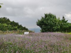 -云峰山自然风景区