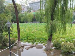 -莲湖公园