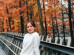 -福道