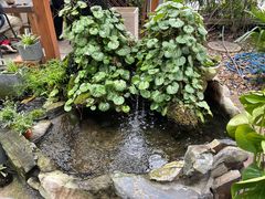 -谷咖啡·鲜花绿植花园餐厅