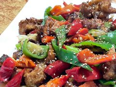 -煲来饱去冷水鱼