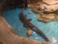 -多彩贵州城极地海洋世界