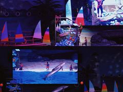 -海合安武汉极地海洋公园