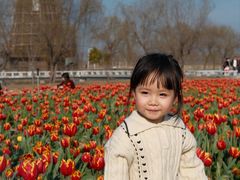 -漩门湾国家湿地公园