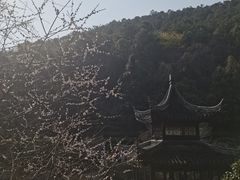 -九龙潭景区