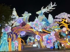 -淄博花灯齐彩城