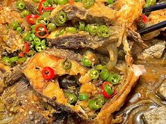 -老板恋上鱼(恒隆广场店)