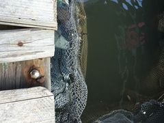 -海上驿站渔家菜馆