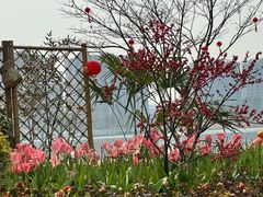 -金沙湖公园