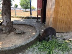 -武汉紫薇都市田园