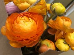 -天幕新彩云国际影城(激光巨幕店)