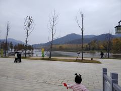 -千年银杏谷文化旅游区