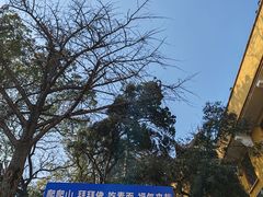 -灵岩山风景区