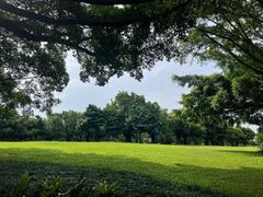 -南宁南湖公园