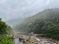 -姑婆山旅游区