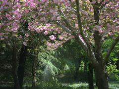 -郑州植物园