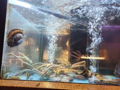 -九洲喜来登酒店湖月日餐厅