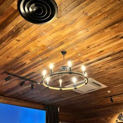 -Zoolung Zoolung动物主题公园(海信广场店)