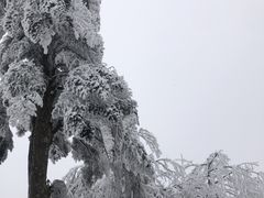 -峨眉山风景名胜区
