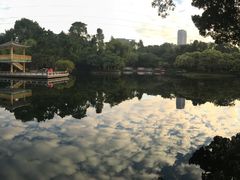 -晓港公园