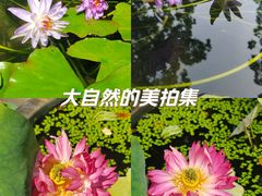 -黄兴公园
