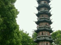 -上海佘山国家森林公园西佘山园