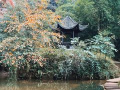 -沐川竹海旅游景区