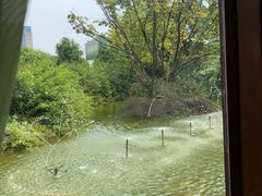 -西江印象酒楼