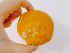 -百饼园(南后街店)