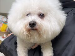 -美联众合动物医院·24h转诊中心