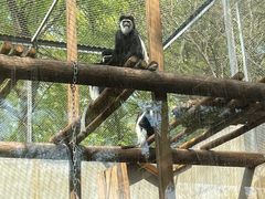 -合肥野生动物园