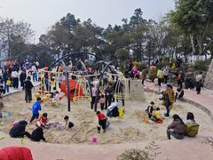 -铁山坪森林公园