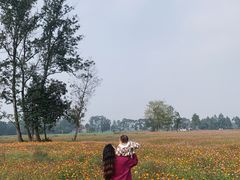 -中国天府农业博览园