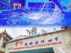 -多彩贵州城极地海洋世界