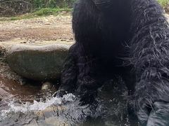 -龙井峡漂流