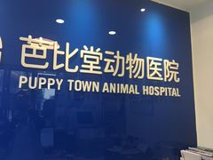 -芭比堂动物医院·心脏专科·夜诊·吉雅分院