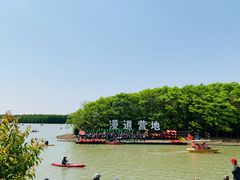 -上海海湾国家森林公园