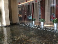 -常州环球恐龙城维景国际大酒店