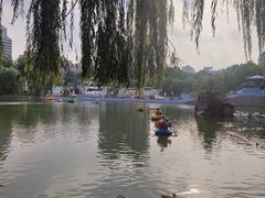 -团结湖公园