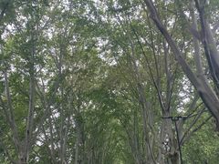 -河南省黄河迎宾馆