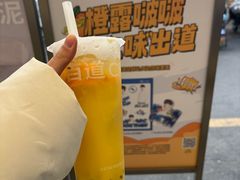 -茶百道(沭阳蓝天店)