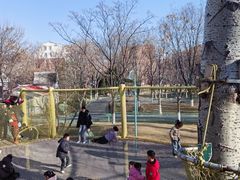 -张店儿童公园