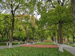 -上海鲜花港