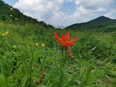 -白草畔自然风景区