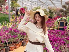 -沂蒙云瀑洞天景区