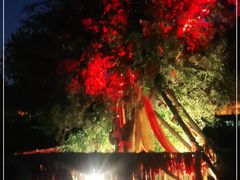 -西安汉城湖景区